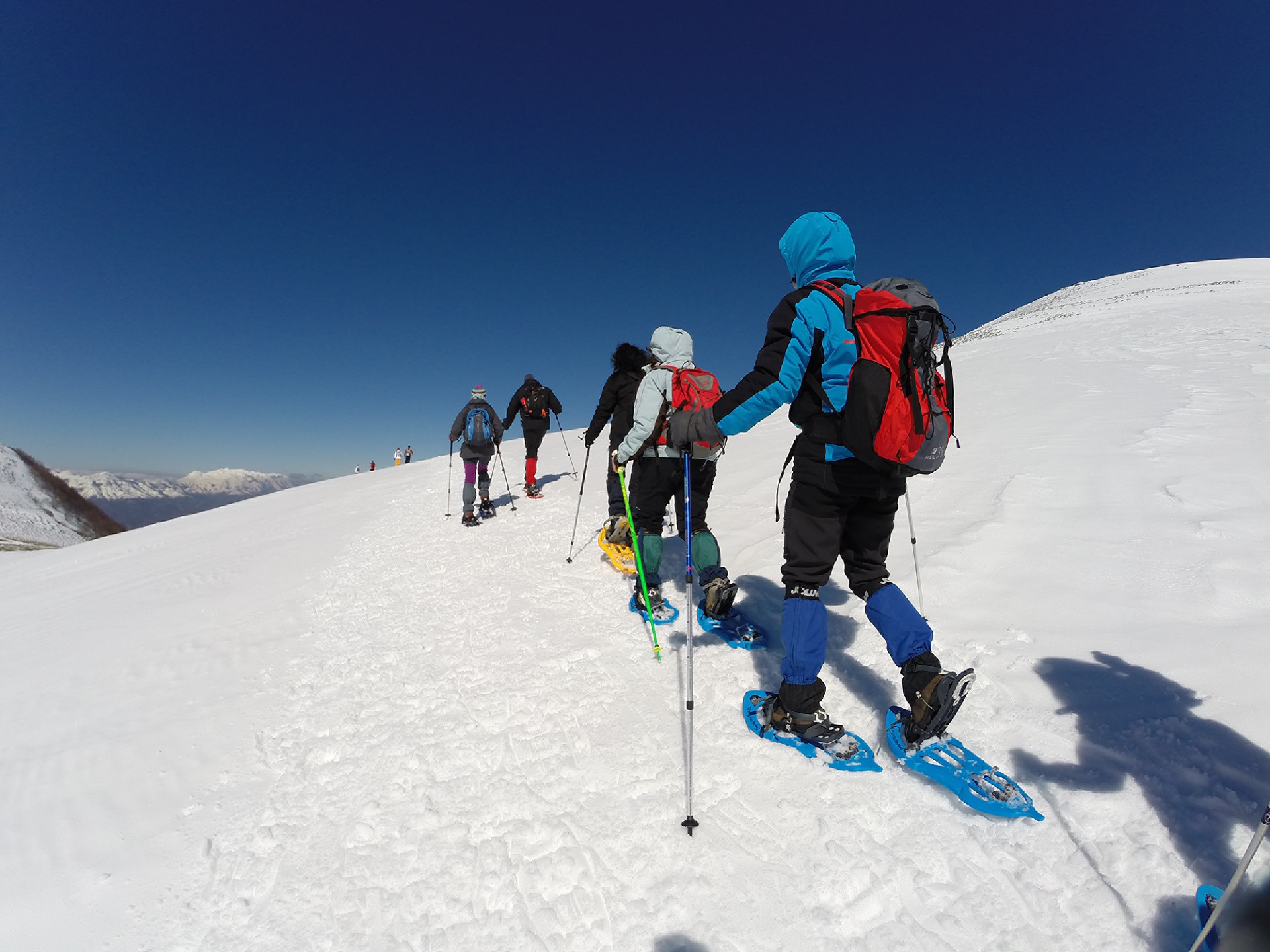 Imagen de Raquetas de Nieve